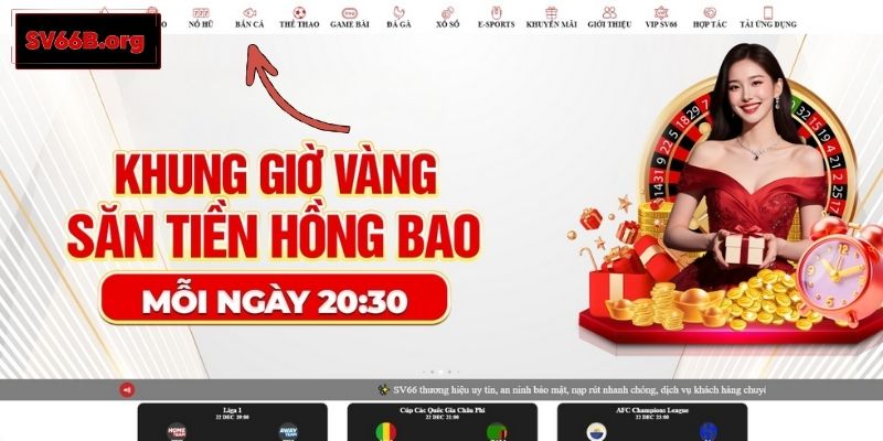 Tổng hợp các loại hình đặt cược tại SV66